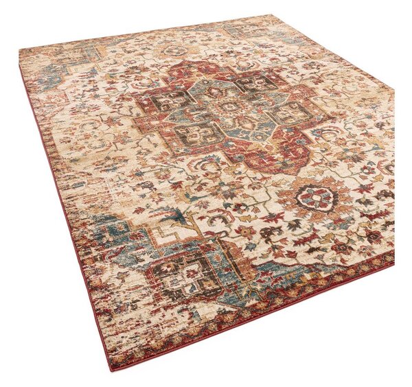Koberec 120x160 cm Raja – Asiatic Carpets