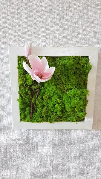 Mechový obraz v bílem rámu 33cm x 33cm