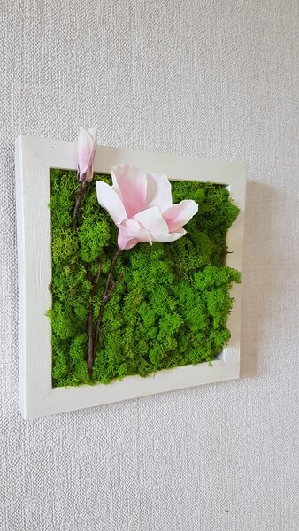 Mechový obraz v bílem rámu 33cm x 33cm