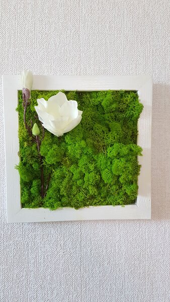 Mechový obraz v bílem rámu 33cm x 33cm