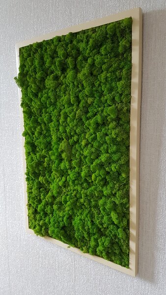 ArtTree s.r.o. Mechový obraz v dřevěném rámu 100cm x 65cm