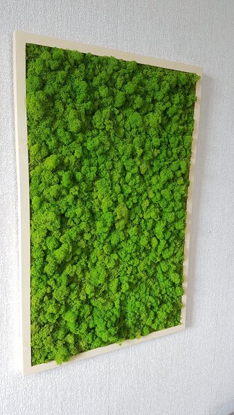 ArtTree s.r.o. Mechový obraz v dřevěném rámu 100cm x 65cm