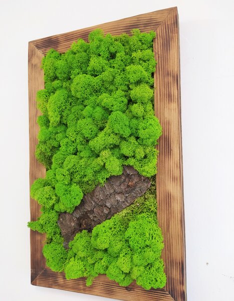 Mechový obraz s přírodním dřevem 50cm x 30cm