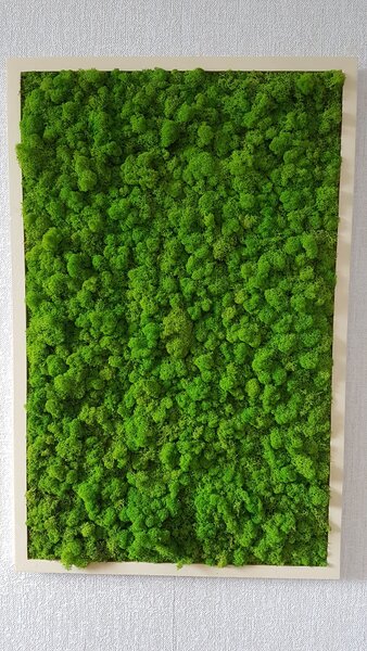 ArtTree s.r.o. Mechový obraz v dřevěném rámu 100cm x 65cm