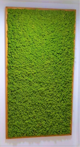 Mechový obraz 218cm x 120cm