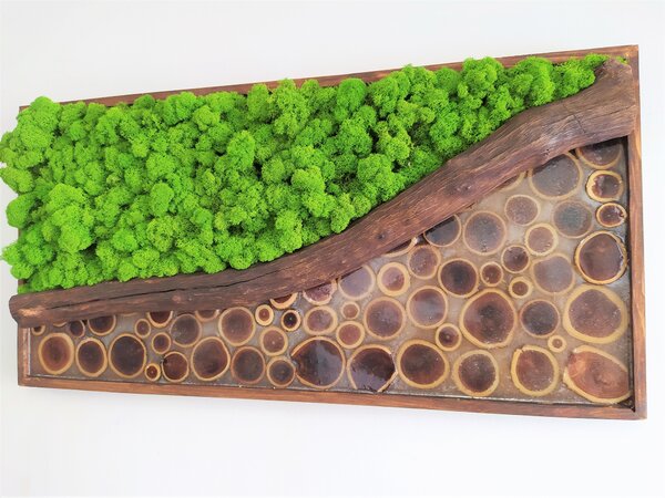 Mechový obraz s epoxidem 40cm x 80cm