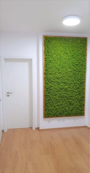 Mechový obraz 218cm x 120cm
