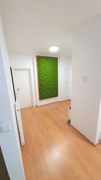 Mechový obraz 218cm x 120cm