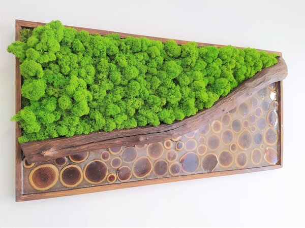 Mechový obraz s epoxidem 40cm x 80cm