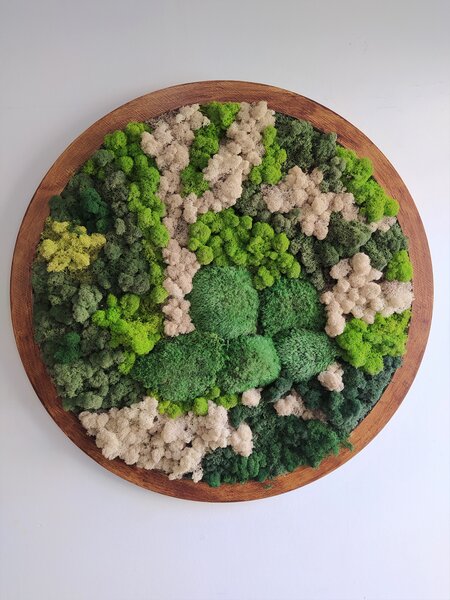 Mechový obraz kruh- průměr 70cm