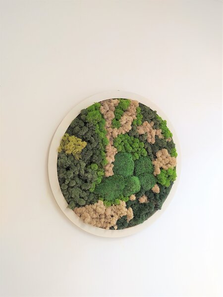 Mechový obraz kruh- průměr 70cm