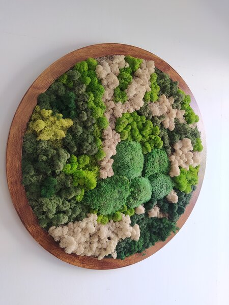 Mechový obraz kruh- průměr 70cm