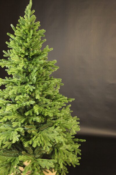 Smrk Tyrolský 3D- 170cm
