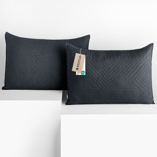 Povlaky na polštáře v sadě 2 ks z mikrovlákna 50x70 cm Softa – Restilo