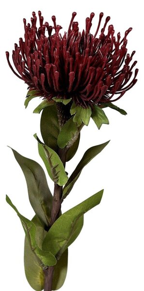 Umělá květina (výška 74 cm) Protea – Ego Dekor