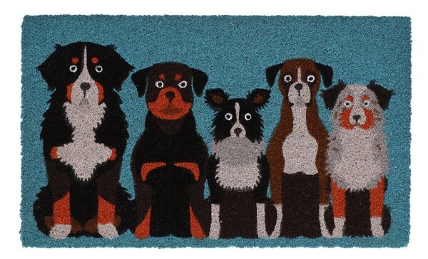 Rohožka z kokosového vlákna 45x75 cm – Esschert Design