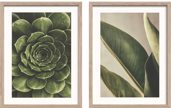 Tištěné obrazy v sadě 2 ks s rámem 30x40 cm Beauty Green – Styler