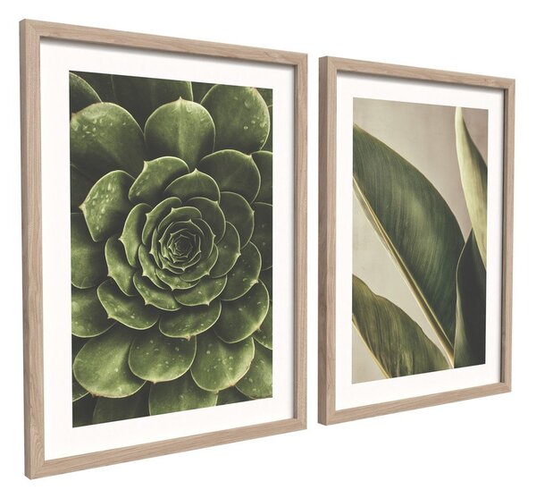 Tištěné obrazy v sadě 2 ks s rámem 30x40 cm Beauty Green – Styler
