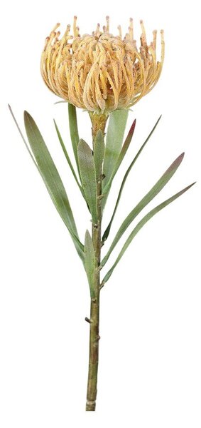 Umělá květina (výška 43 cm) Protea – Ego Dekor