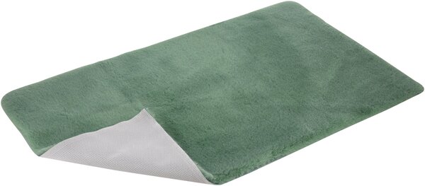 Livarno® Koupelnová předložka, 60 x 100 cm (zelená) (100413799002)