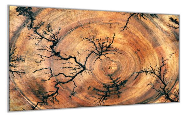 Sklo do kuchyně ornament řez dřeva hruška - 30 x 60 cm