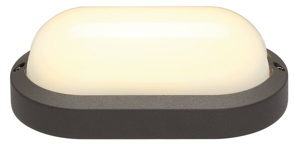 SLV 229935 Terang 2, antracitové stropní nebo nástěnné venkovní svítidlo, 11W LED, 3000K, délka 19,8cm, IP44