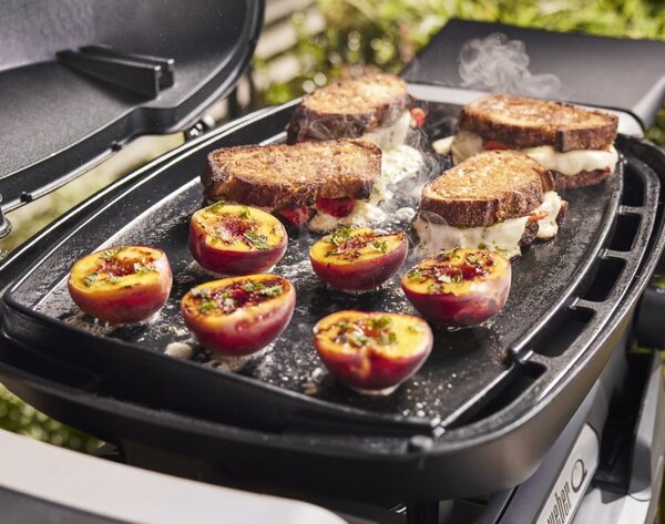 Weber Plynový gril Q1100N