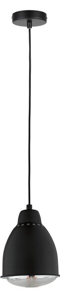 Paulmann 79763 Neordic Hilla, závěsné svítidlo k podpoře růstu rostlin 1xE27, černá, průměr 14,5cm