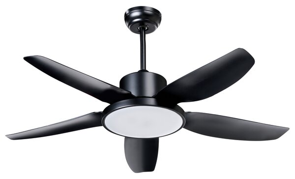 Stropní ventilátor se světlem LOUVET s dálkovým ovládáním LED Černá