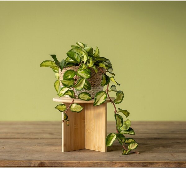 Bambusový stojan na květiny ø 25 cm (výška 19,5 cm) – Esschert Design