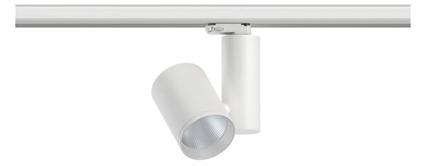 Paulmann 91341 ProRail3 Zeuz, bílý reflektor, 33W LED 3000K 60° stmívatelný, výška 24,1cm