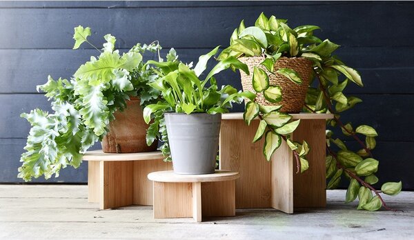 Bambusový stojan na květiny ø 25 cm (výška 19,5 cm) – Esschert Design