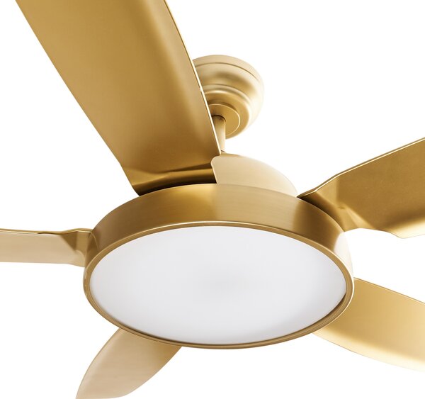 Stropní ventilátor se světlem GOSHAABA s dálkovým ovládáním LED Mosazná