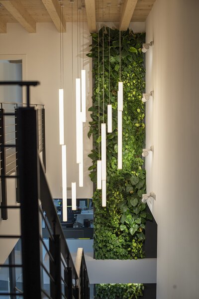 Linea Light 8841 Tu-V_4, závěsné svítidlo se čtyřmi závěsy, 93W LED 3000K DALI, délka 52+100cm