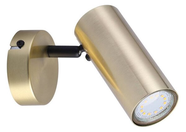 Candellux Mosazné stropní/nástěnné svítidlo Colly pro žárovku GU10 91-01702