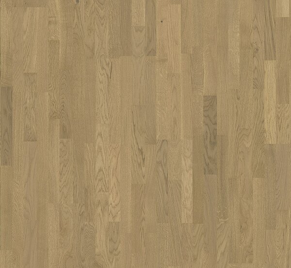 PARADOR Basic 11-5 Rustikal Dub malbec lehce bílený 1748912 - 4.07 m2