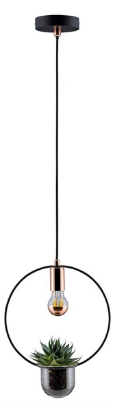 Paulmann 79748 Tasja, závěsné svítidlo s květináčem, 1xE27, černá/měď, průměr květináče 12cm