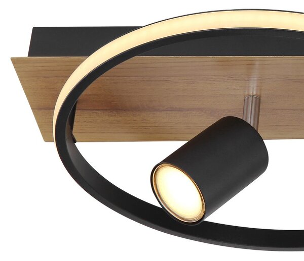 Globo GLB67309-36 LED přisazené stropní svítidlo DANNY | 36W integrovaný LED zdroj | 2020lm | 3000K