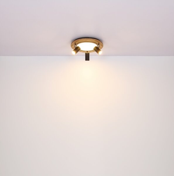 Globo GLB67307D LED přisazené stropní svítidlo KASSU | 15W integrovaný LED zdroj | 1300lm | 3000K