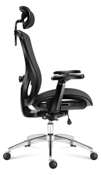 Kancelářská židle Expert 5.3 Black Mesh