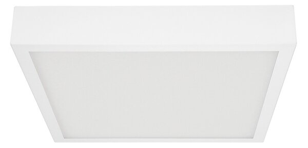Linea Light 8233 Box_SQ, bílé stropní svítidlo 43W LED 3000K, 50x50cm
