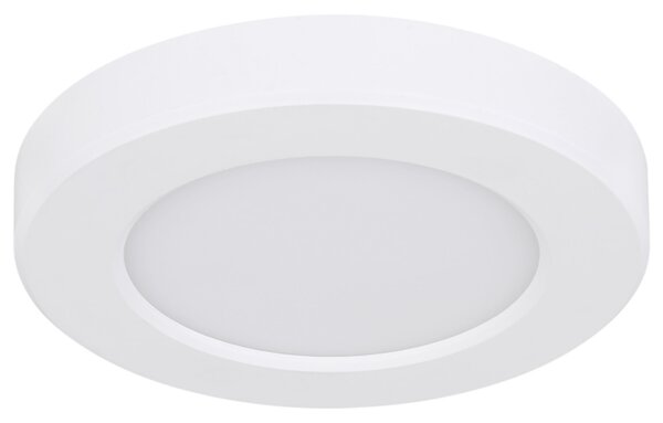 Stropní LED svítidlo LASSE 1 bílá