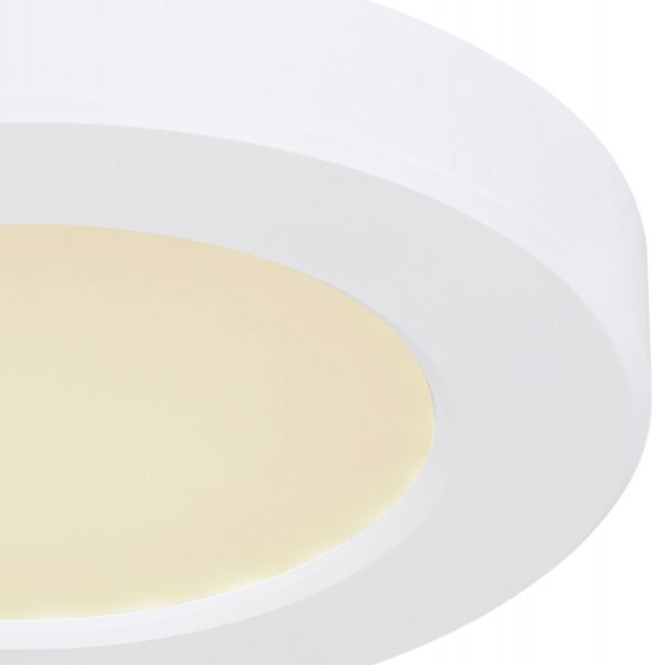 Stropní LED svítidlo LASSE 1 bílá