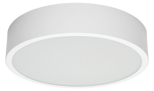 Linea Light 8240 Box_SR, bílé stropní svítidlo, 25W LED 3000K, prům. 40cm