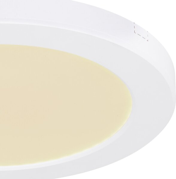 Stropní LED svítidlo LASSE 2 bílá