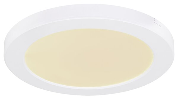 Stropní LED svítidlo LASSE 2 bílá