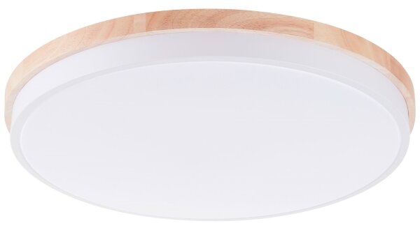 Brilliant - LED Stm stropní svítidlo BAARLO LED/36W/230V pr. 50 cm bílá + DO