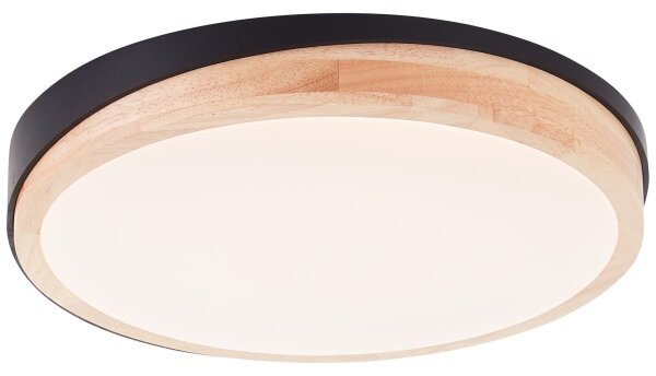 Brilliant - LED Stm stropní svítidlo BAARLO LED/24W/230V pr. 35 cm černá