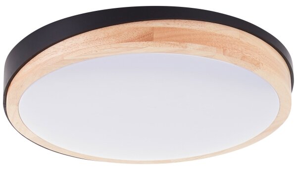 Brilliant - LED Stm stropní svítidlo BAARLO LED/24W/230V pr. 35 cm černá