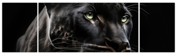 Obraz - Černý panter (170x50 cm)